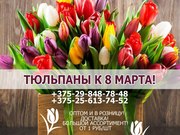 Продажа тюльпанов оптом и в розницу