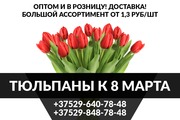 Закажи тюльпаны на 8 марта.